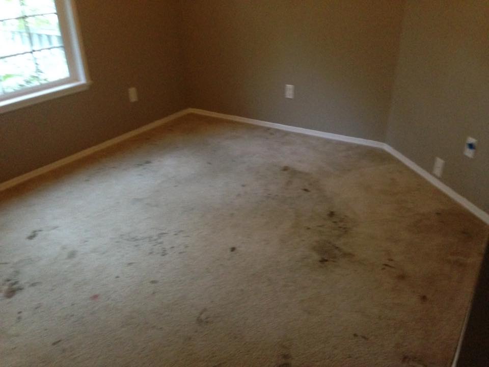 Stained and dirty carpet Before & after photos